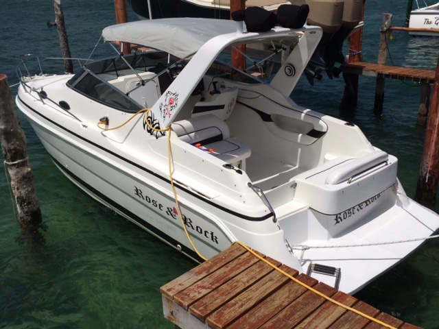 WellCraft 28 feet Cheap boat rental