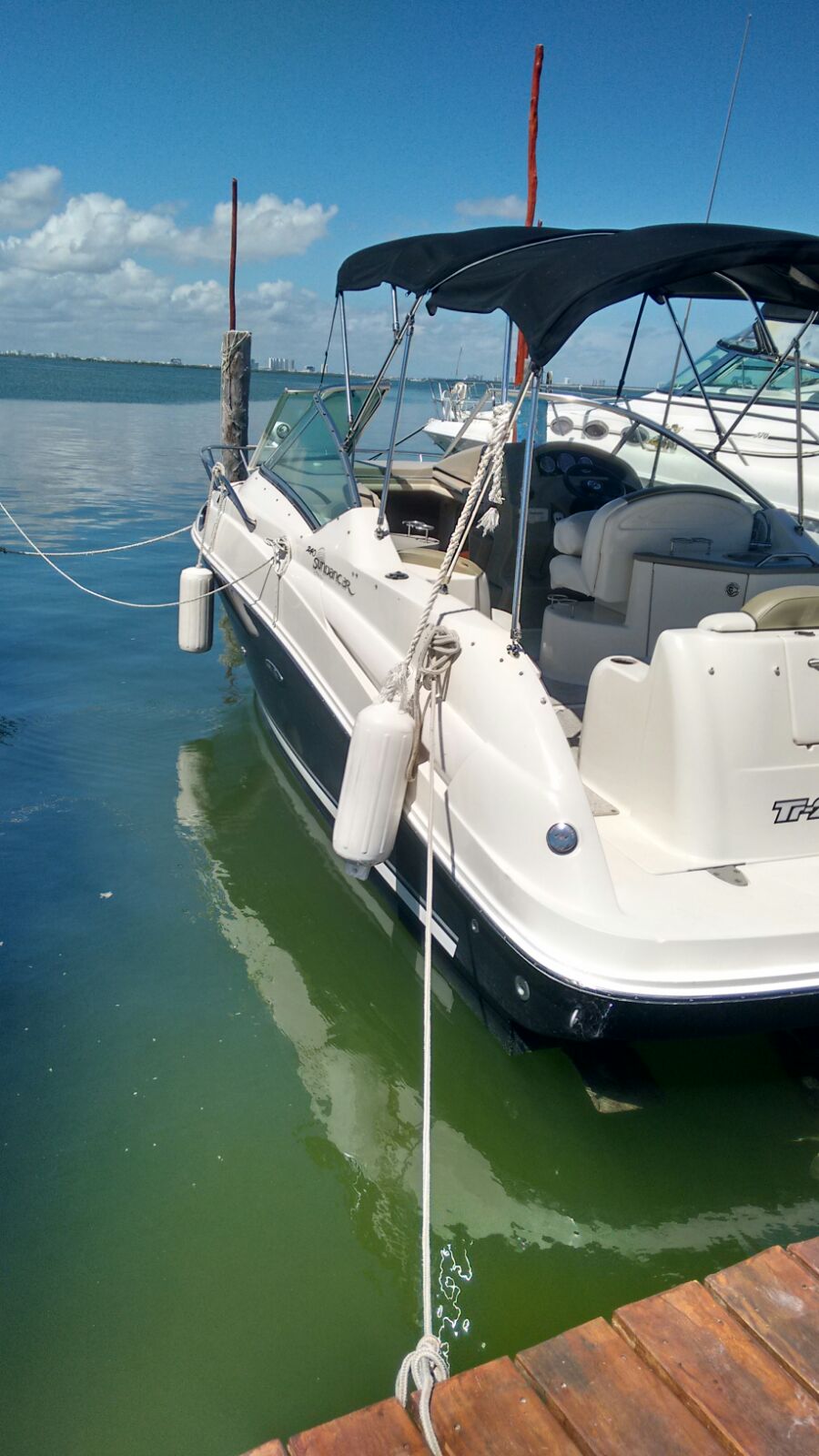RENTA DE YATES EN CANCUN SEA RAY 24 4