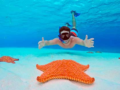 yacht-Charters-in-cancun-el-cielo-private-charter Yacht-Charters-Cancun- Sea-Ray-40-pies-Puerto-Aventuras-Private-Charter-4-Hours-In-Ha-Turtle-Snorkel-Tour-luxury-charter-chef-private- cozumel-el-cielo-palancar-reef-44-feet-Lagoon-catamaran